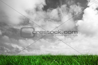 Green grass under grey sky