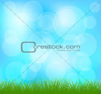 Natural green grass and blue background