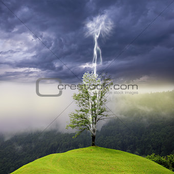 Tree on the hill struck by lightning from dark sky.