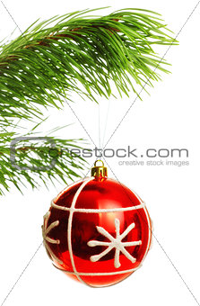 decoration ball on pine branch