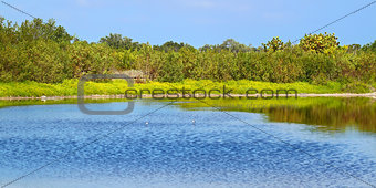 Eco Pond Everglades National Park