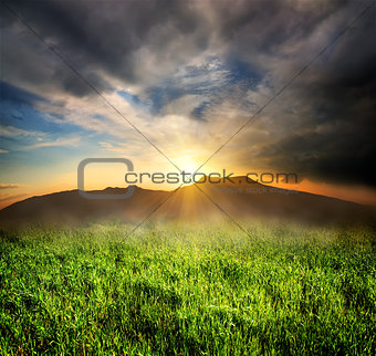 Green grass in mountains