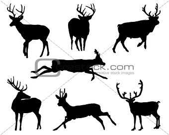 deers