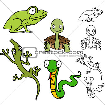 Reptile and Frog Set