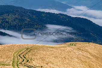 Ruts in the Carpathian mountains