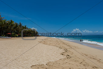 Beautiful tropical beach with lush vegetation