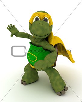 tortoise superhero