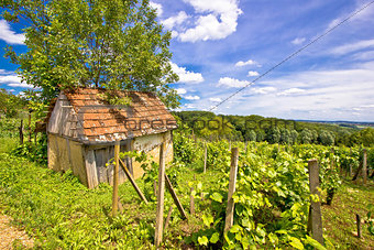 Mud cottage in hill vineyard
