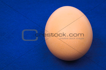 Close-up of brown egg blank template over blue background