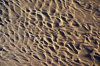 Wet sand on Baltic beach in Ustka, Poland. Natural textured back