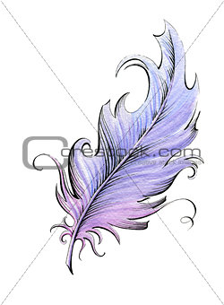 Feather. Watercolor illustration