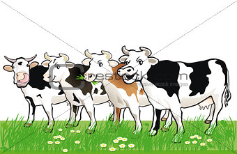 four happy cows