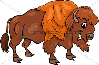 bison american buffalo cartoon illustration