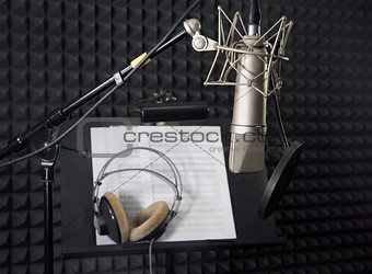 Condenser microphone in recording room