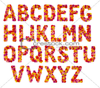 Floral alphabet isolated