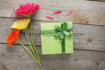 Three colorful gerbera flowers with gift box