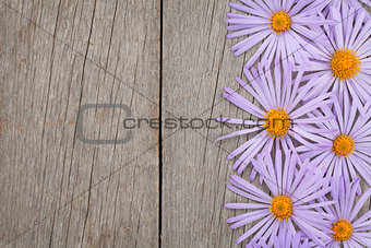 Wooden background with blue flowers
