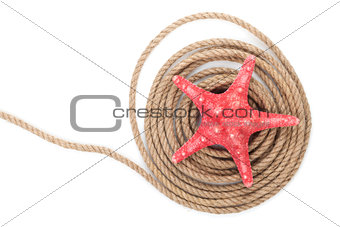 Starfish over ship rope