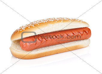 Original hot dog
