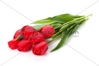 Fresh red tulips bouquet