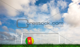 Composite image of football in cameroon colours