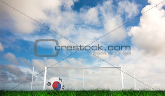Composite image of football in south korea colours