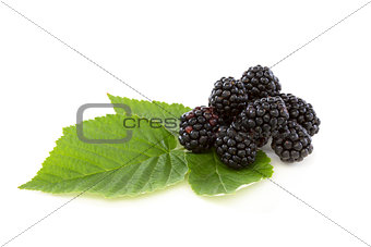 Ripe blackberries.