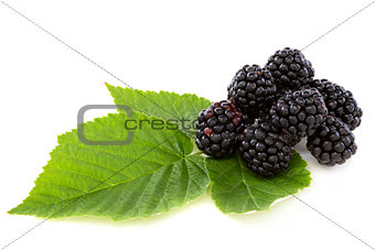 Ripe berry blackberry closeup.