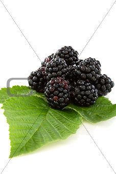 Blackberry fruit with leafs.