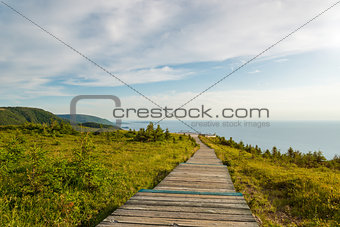 Skyline Trail boardwalk