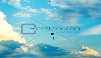 unidentified skydivers, parachutist on blue sky