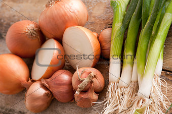 Fresh brown onions with scallions