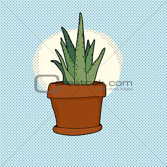 Small Cactus Houseplant