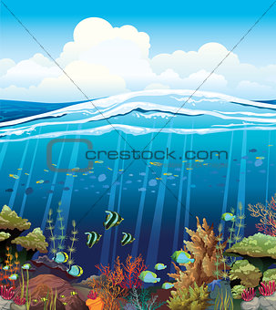 Coral reef with underwater creatures.