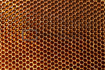 Beautiful honeycomb without honey texture