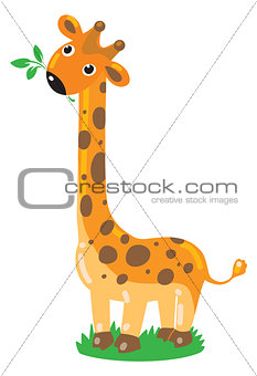 Cheerful giraffe