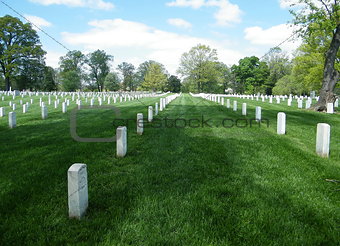 Arlington National Cemetery 2010