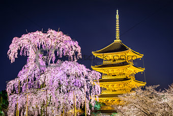 Todai-ji Pagoda in the Spring