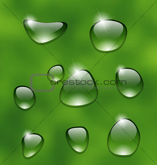 Water drops on fresh green leaf 