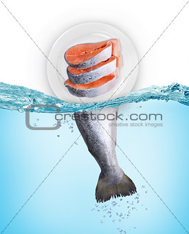 fresh fish concept