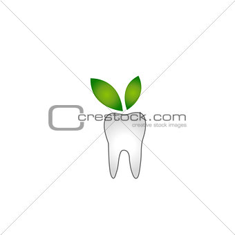 Tooth with green leaves