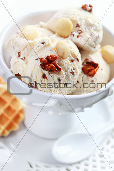 Nut ice cream
