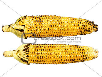 roasted corncob isolated