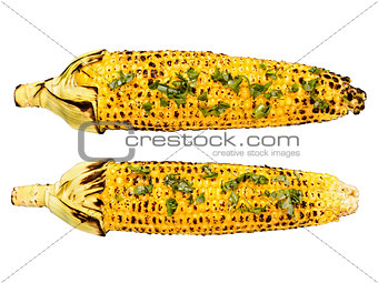 roasted corncob isolated