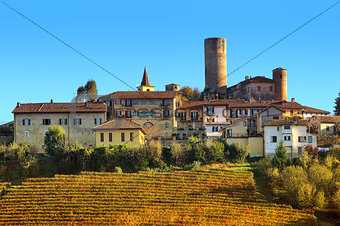 Small town and vineyards on the hill in Italy.