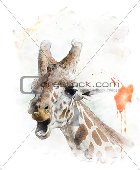 Watercolor Image Of Giraffe 