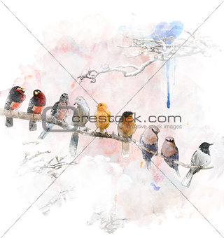 Watercolor Image Of Perching Birds