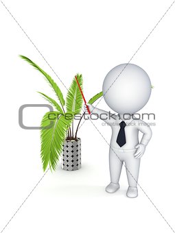3d rendered exotic decorative plant
