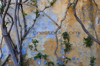 textured wall and tree branches