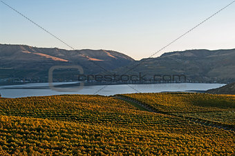 A view of Lake Chelan from the Benson vineyard at sunset